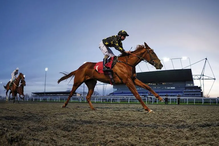 Afternoon Racing