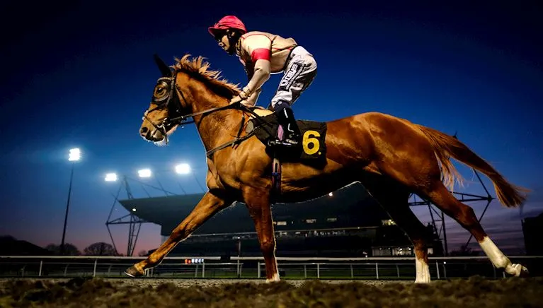 Floodlit Racing
